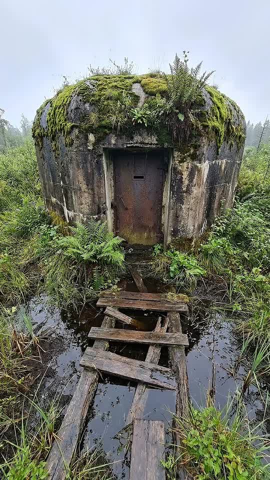 I Rebuilt an Abandoned Swamp Bunker on Cory Airbnb 😱🌿 I started with ...